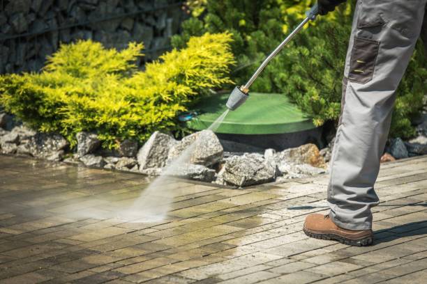 Best Winterizing Services  in Cairo, GA